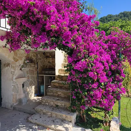 Villa Maison Vue A 5 Min De Monaco Rocabruna