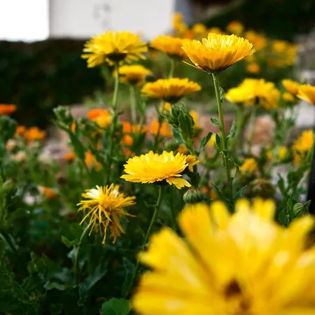 Maison Vue A 5 Min De Monaco * 로퀴에브륀캡마르탱