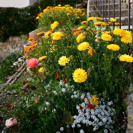 Maison Vue A 5 Min De Monaco 빌라 로퀴에브륀캡마르탱